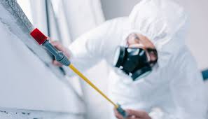 Best Termite Inspection and Treatment  in Vinco, PA